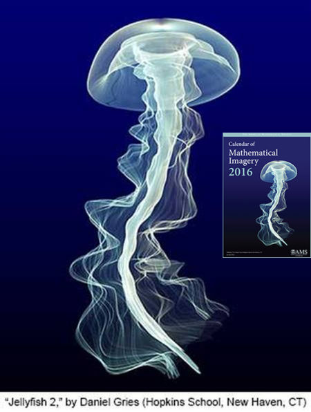 "Jellyfish 2" de Daniel Gries.