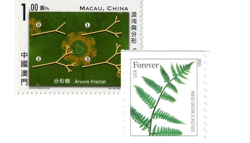 Macau (2005) y Estados Unidos (2015)