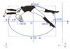 Elipse (exposición Curvas Matemáticas)