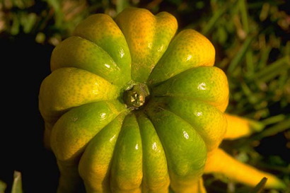 Frutas