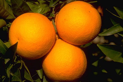Frutas