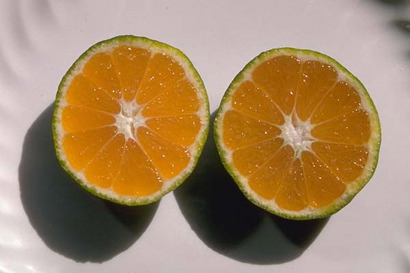 Frutas