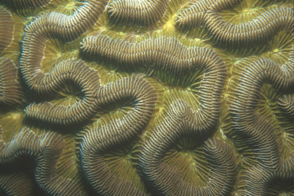 Geometría del Mar 3