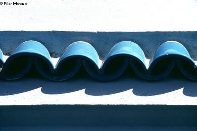 Pilar Moreno: Sombras