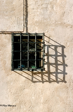 Pilar Moreno: Sombras