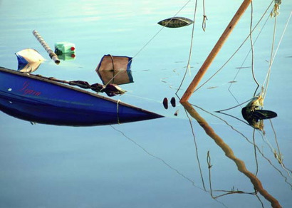 Reflejos