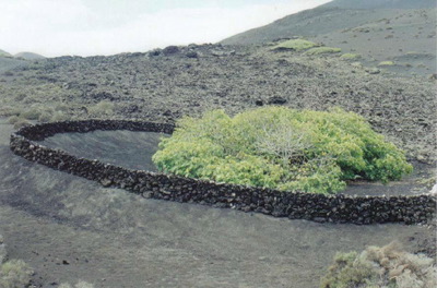 Círculo protector - Lanzarote