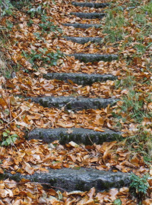 Paralelas en otoño
