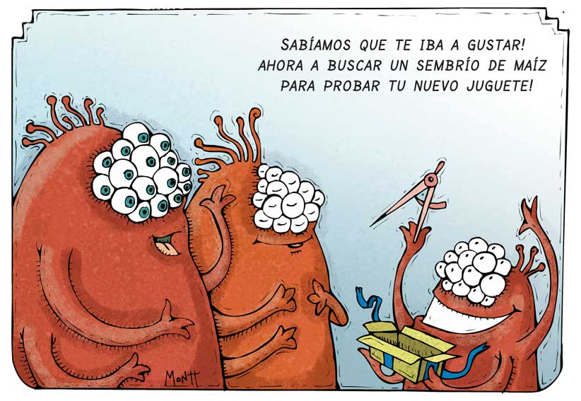 Chiste de Alberto Montt