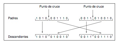 Composición algorítmica (III)