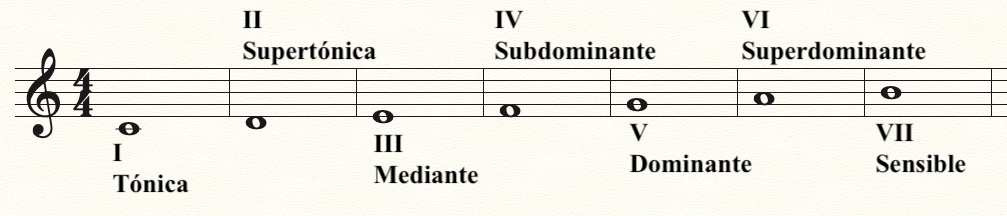 Modelos matemáticos de la función tonal (I)